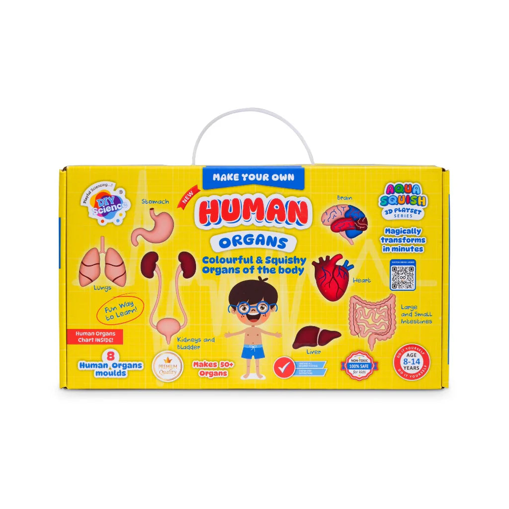 Aqua Squish Human Organs Kit