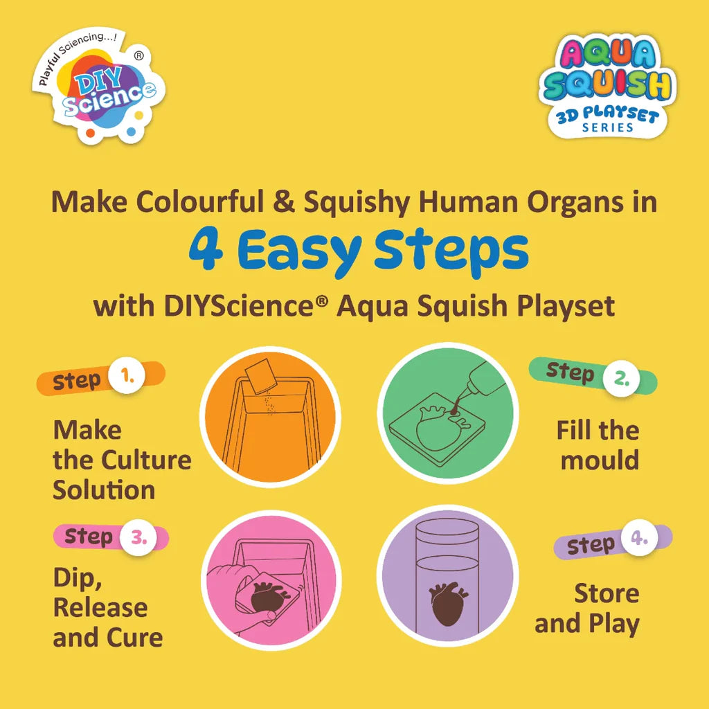 Aqua Squish Human Organs Kit