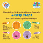 Aqua Squish Human Organs Kit